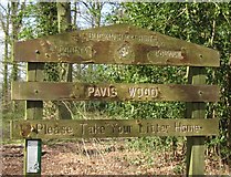SP9109 : Pavis Wood by Chris Reynolds