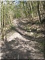 Byway on the County Boundary ? crossed by a footpath