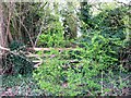 Gate across an abandoned bridleway