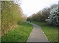 Leafy footpath / cycleway