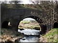 Disused (by trains) Railway bridge