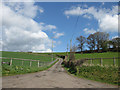 SO4814 : Sweeping drive to Deepholme Farm by Pauline E