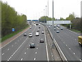 M8 North of Alexandra Park