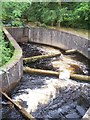 Tongland Dam fish ladder