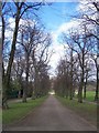 SK3686 : The Lime Avenue, Norfolk Park by Martin Speck