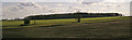 Farmland near Cock Law