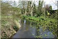 The river Sowe upstream of Stoneleigh