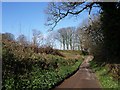 Lane from Bickleigh Farm