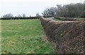 Hedgerow along Asfordby Road