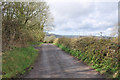 Lane near Foelgastell