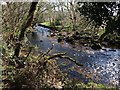 River Teign by Dogmarsh Wood