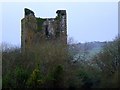 W5068 : Kilcrea Castle, Farran, Co. Cork by Richard Fensome