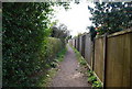 Footpath behind Andrew Rd