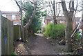 Footpath parallel to Blackthorn Av.