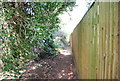 Footpath along the edge of Brokes Wood (5)