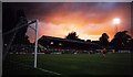 The Beech Road stand at the Manor Ground