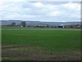 Briar  Hill  Farm  and  the  White  Horse