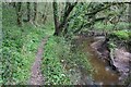 Footpath along Wych Brook