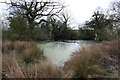 Pond, Lower Threapwood