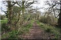 Bridleway near Chorlton Lane