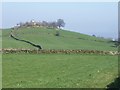 Fields by Brown Hills Lane