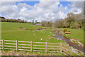 Upstream of the Nantrhydw just before reaching the Gwendraeth Fach