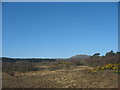 Moorland near Cae-brych