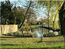 TL3852 : The village pond at Harlton by Robert Edwards