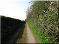 View along narrow lane near the Stone Street