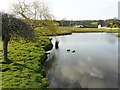 Caldbeck duck pond