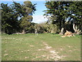 Footpath junction on the way from Yapton to Ford