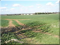 View over to Ford Lane from the footpath coming from Yapton