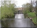 River Skell - viewed from Bondgate Green