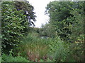 Pond near Upper South Farm 2