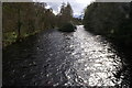 River Ness, Ness Islands, Inverness