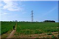 Countryside near Broadmayne