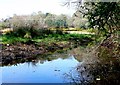 Flooded Ditch near Warmwell