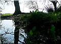 Flooded Ditch on Warmwell heath