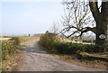 Entrance to Olives Farm