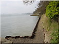 Foreshore at Shotley Gate