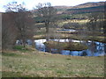 NH3214 : Pond at Dundreggan Lodge near A887 by Sarah McGuire