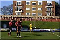 A free view of The Dripping Pan