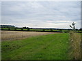 Bridleway near Lower South Farm 3