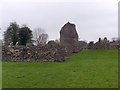 Palace remains, Berkhamsted