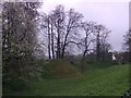 Defensive earthworks, Berkhamsted Castle