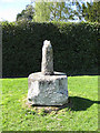 Socket stone of the market cross, Bodenham