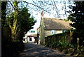 ST5213 : Thatched cottage - Holywell by Sarah Smith