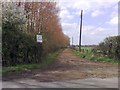 Tree lined lane near Gawcott