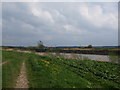 River Trent to Jenny Hurn Pump