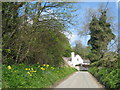 Lane to Cilcain on The Clwydian Way